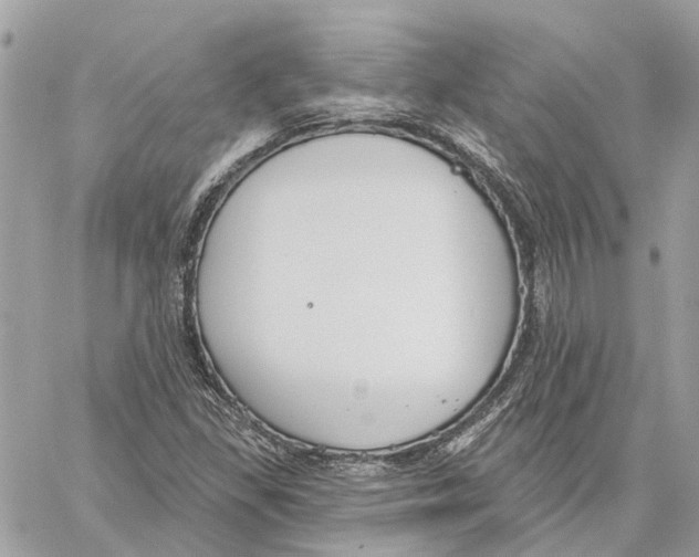 X0000059841309200511181503