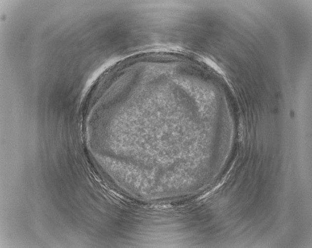 X0000059841310200511181503