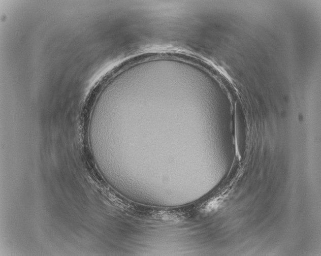 X0000059841311200511181503