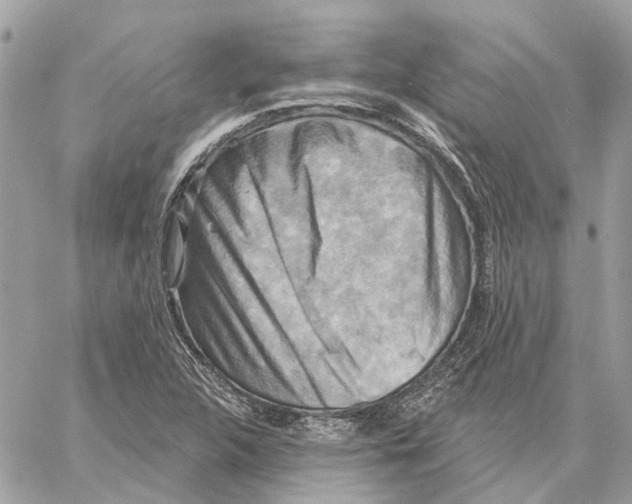 X0000059841312200511181503