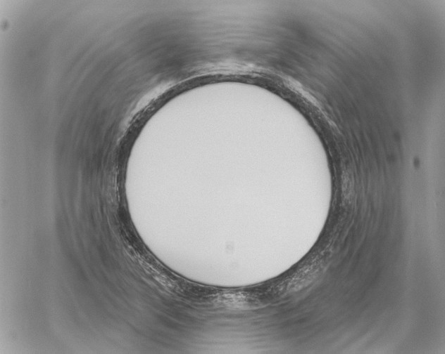 X0000059841315200511181503