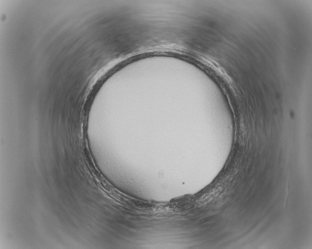 X0000059841316200511181503