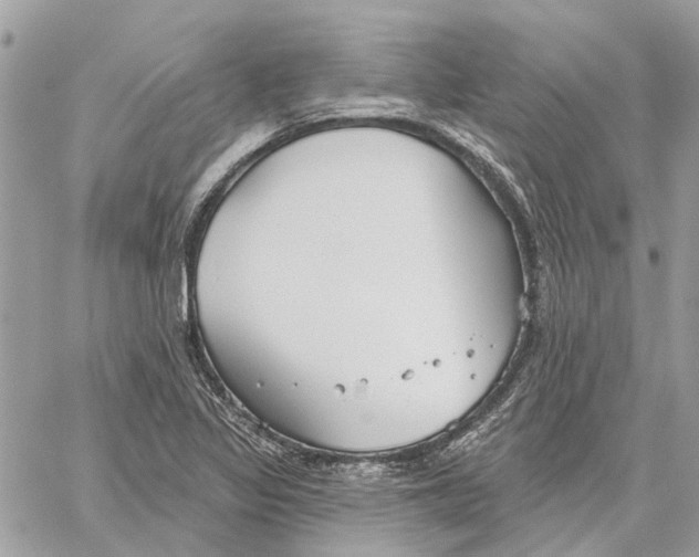 X0000059841317200511181503