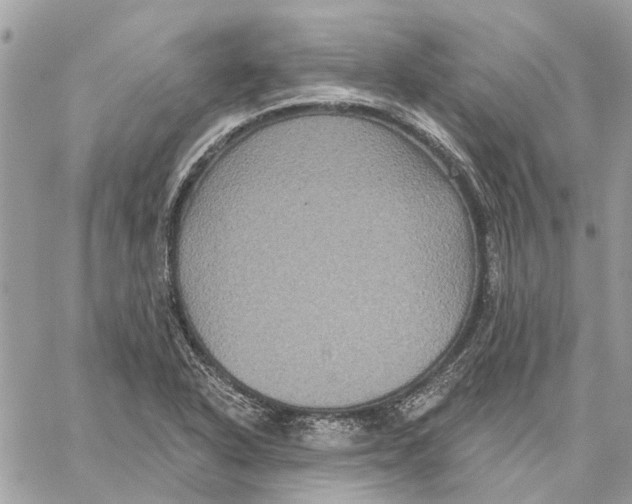 X0000059841318200511181503