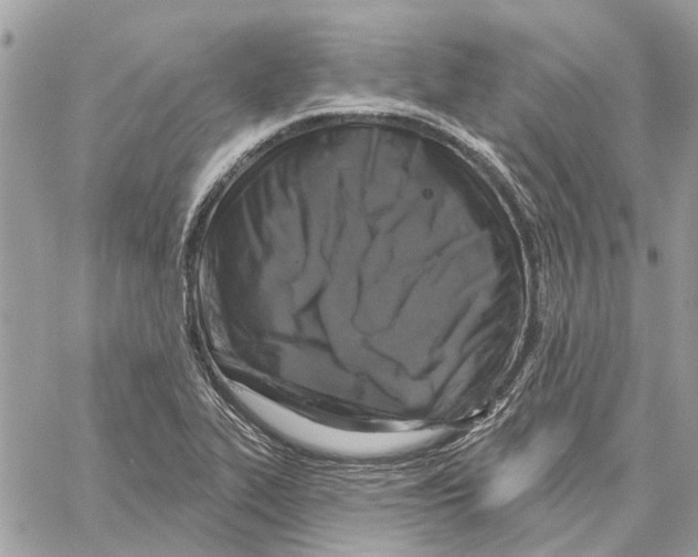 X0000059841319200511181503