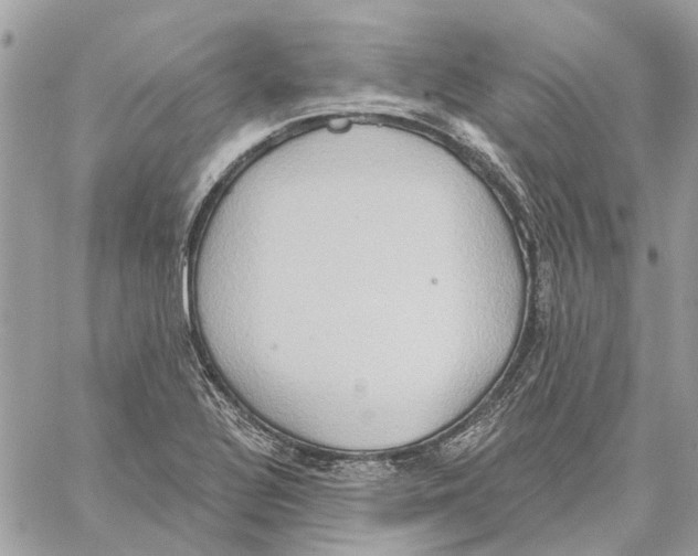 X0000059841320200511181503