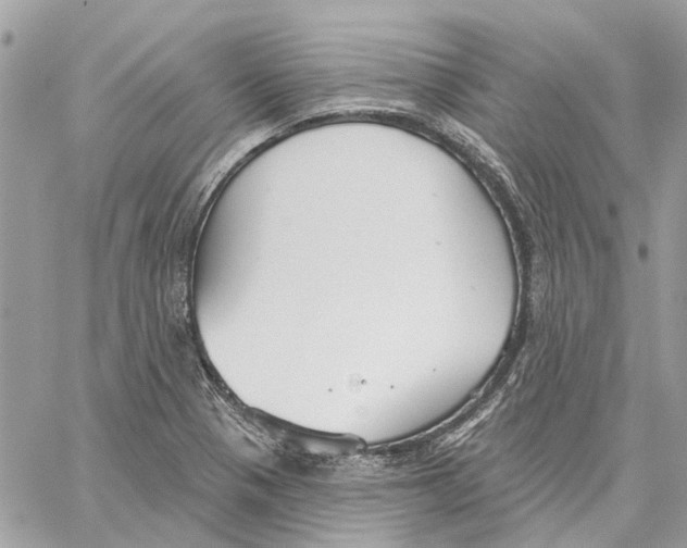 X0000059841321200511181503