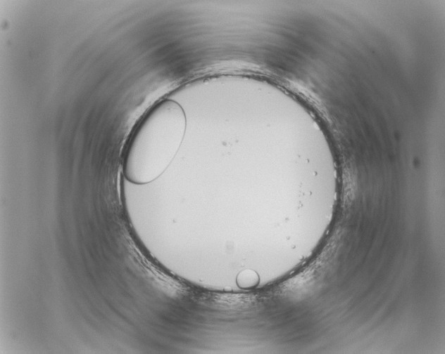 X0000059841322200511181503