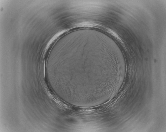 X0000059841323200511181503