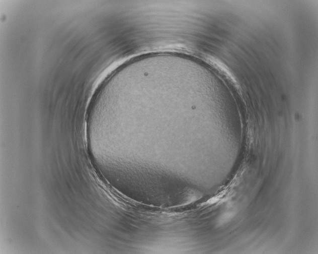 X0000059841324200511181503