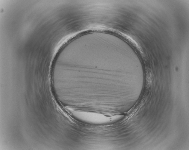 X0000059841327200511181503