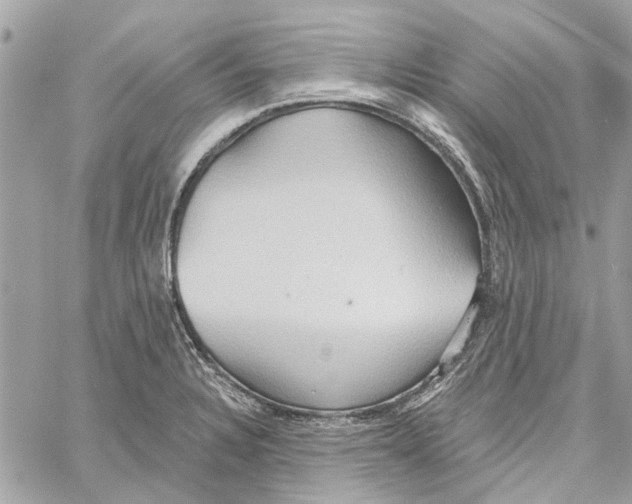 X0000059841328200511181503