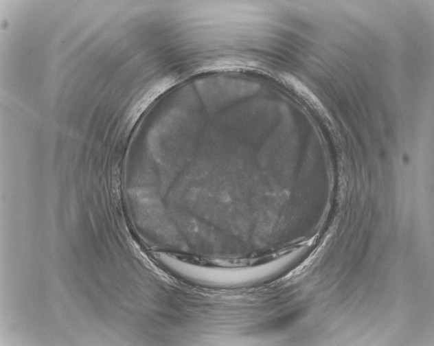 X0000059841329200511181503