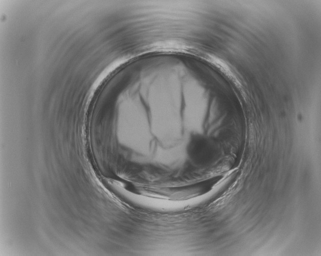 X0000059841331200511181503