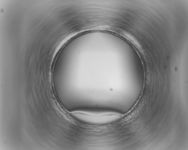 X0000059841332200511181503