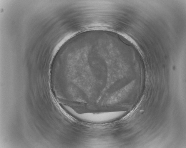 X0000059841333200511181503