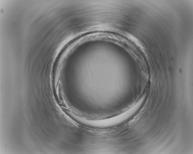 X0000059841334200511181503