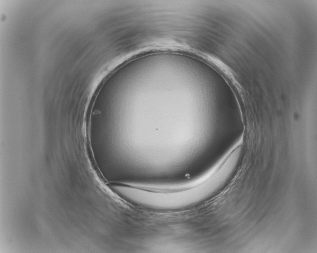 X0000059841335200511181503