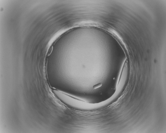 X0000059841336200511181503