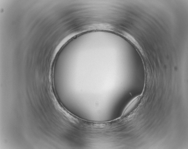 X0000059841339200511181503