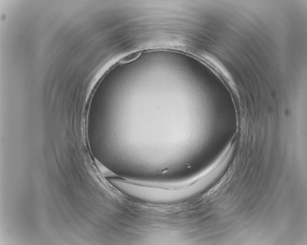 X0000059841340200511181503