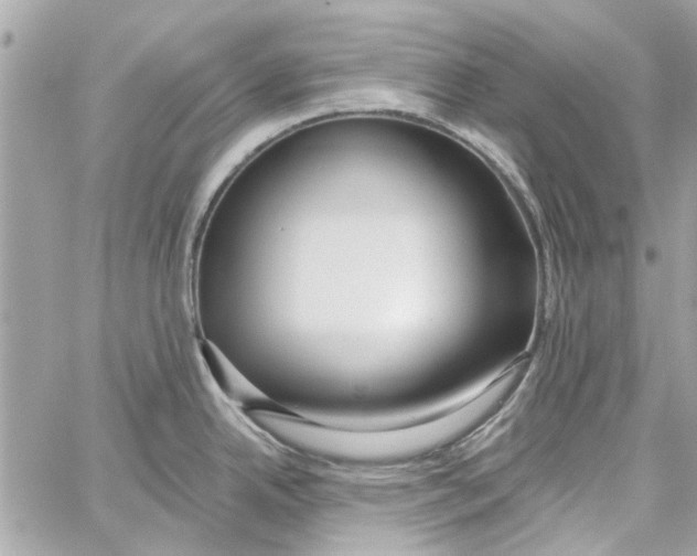 X0000059841342200511181503