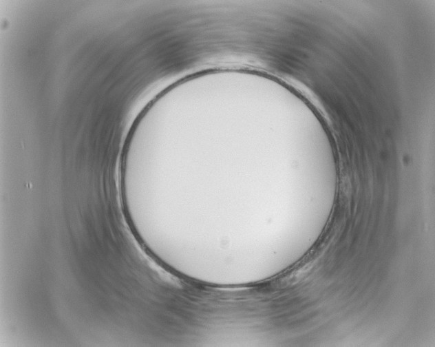 X0000059841343200511181503