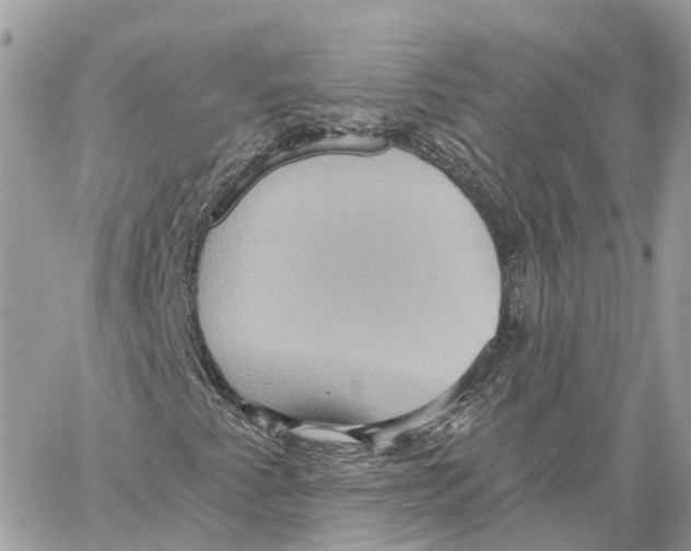 X0000059841345200511181503