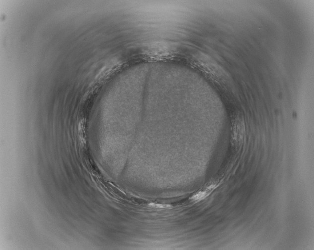 X0000059841346200511181503