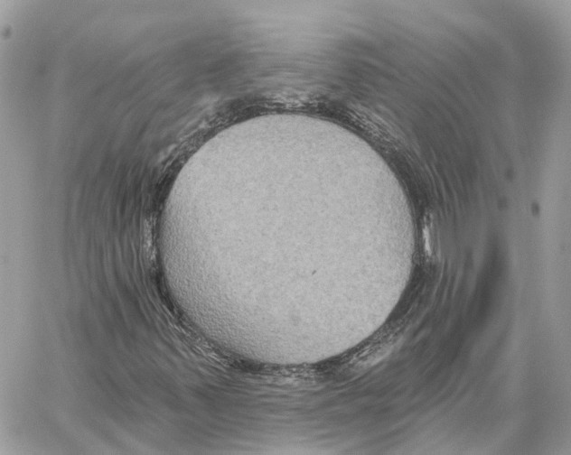 X0000059841347200511181503