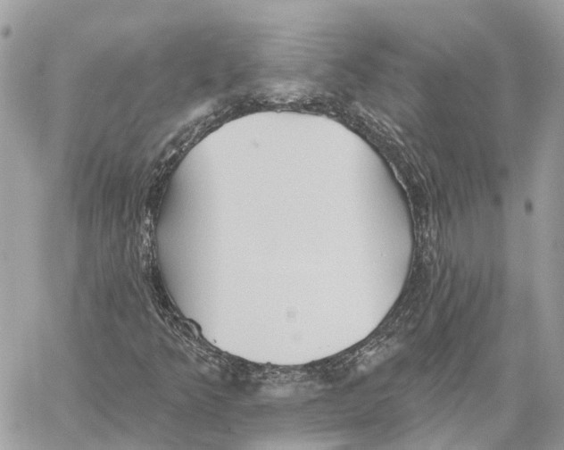 X0000059841349200511181503