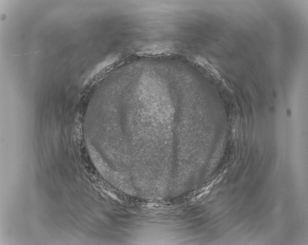 X0000059841350200511181502