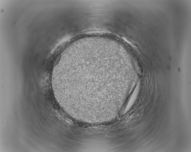 X0000059841351200511181502