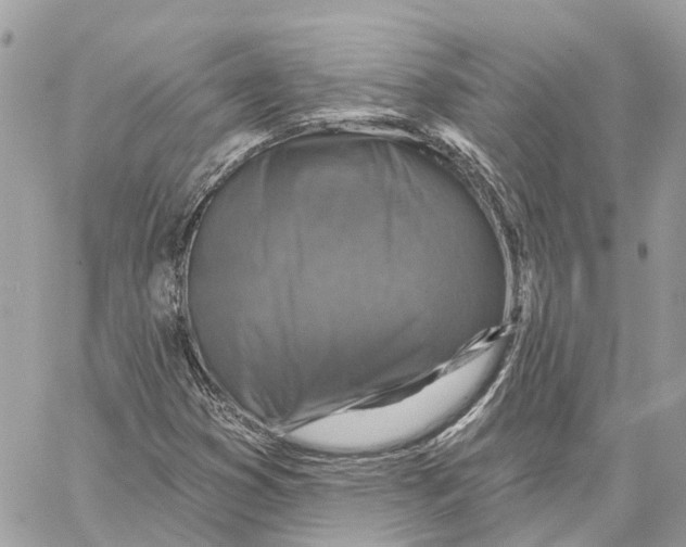 X0000059841353200511181502