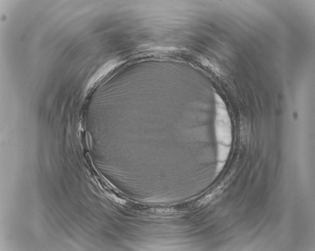 X0000059841354200511181502