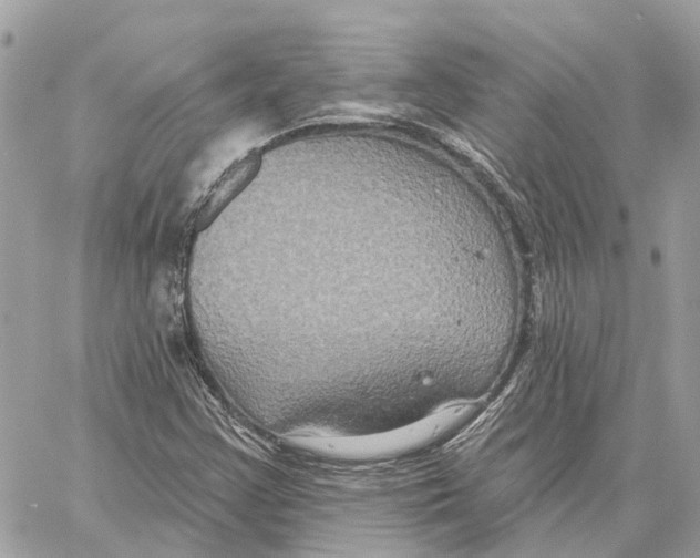 X0000059841355200511181502