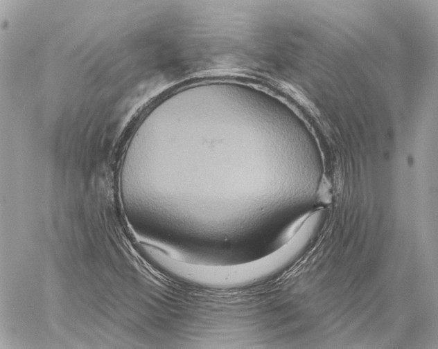 X0000059841356200511181502