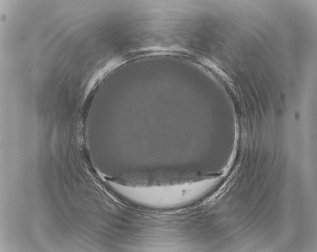 X0000059841357200511181502