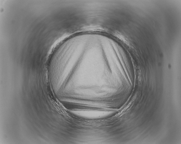 X0000059841358200511181502