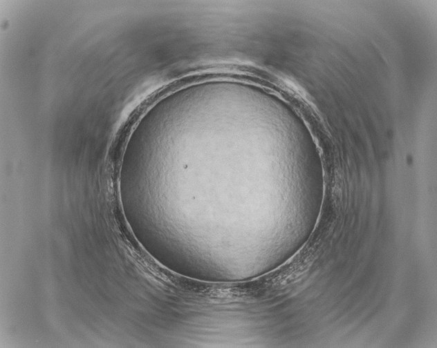 X0000059841360200511181502