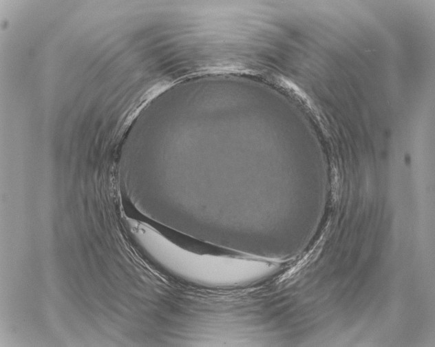 X0000059841361200511181502