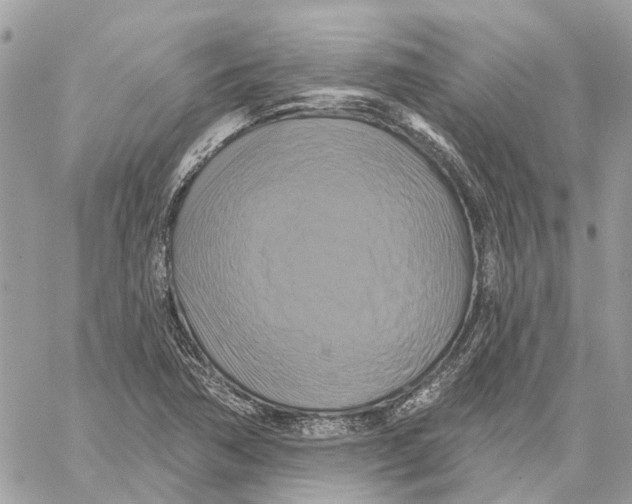 X0000059841362200511181502