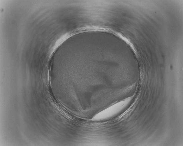 X0000059841365200511181502