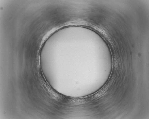 X0000059841366200511181502