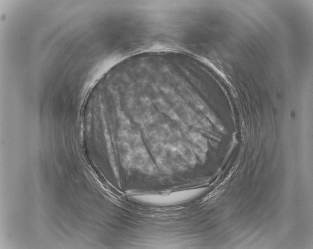 X0000059841367200511181502