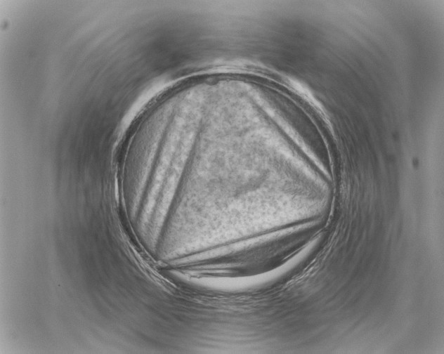 X0000059841368200511181502