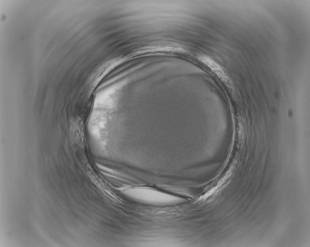 X0000059841369200511181502