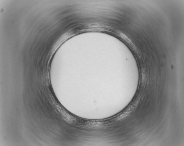 X0000059841370200511181502