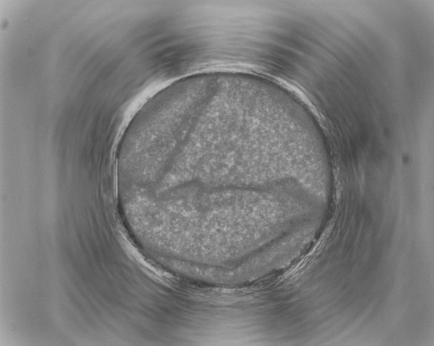 X0000059841371200511181502