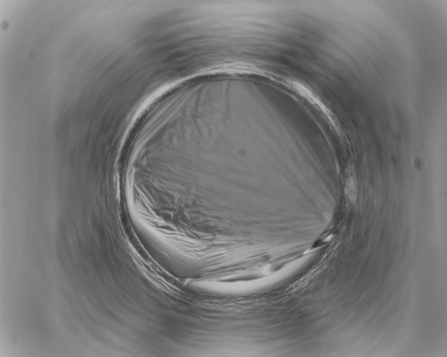 X0000059841372200511181502